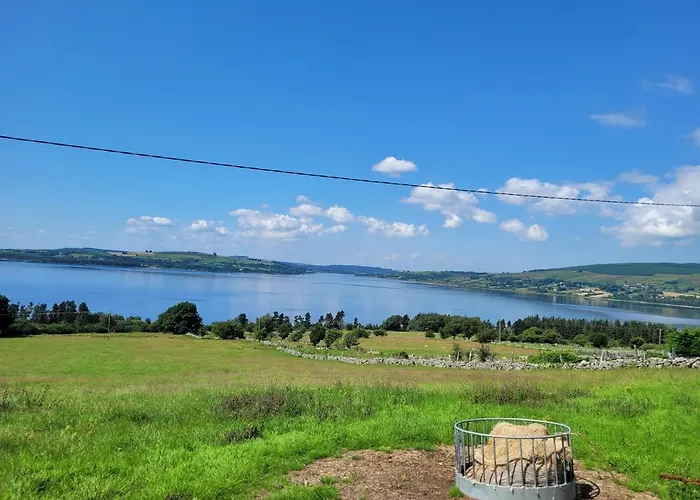 Private In Homestay Dublin